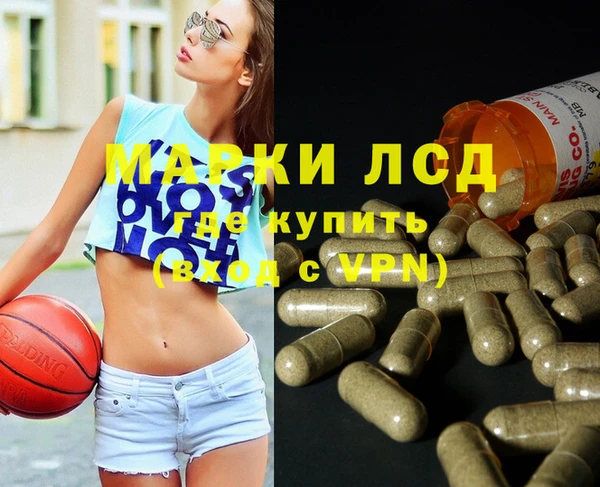 спиды Новозыбков