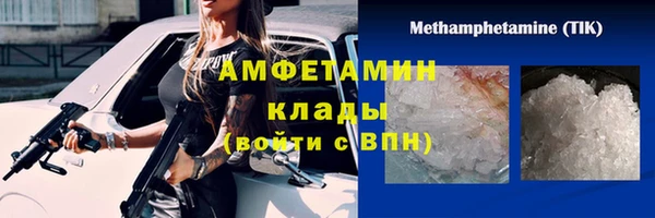 спиды Новозыбков