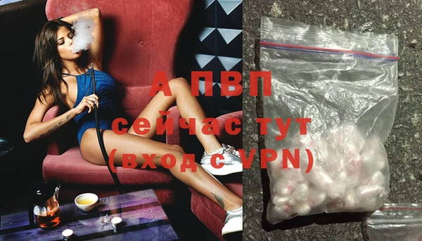 ECSTASY Бежецк