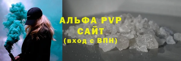 спиды Новозыбков