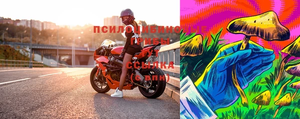 первитин Новодвинск