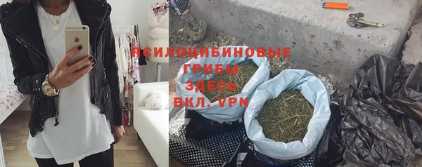 спиды Новозыбков