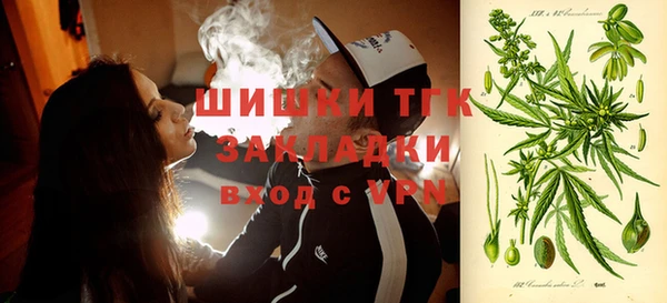 первитин Новодвинск