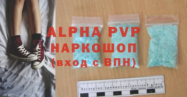спиды Новозыбков