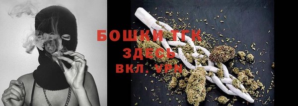 первитин Новодвинск