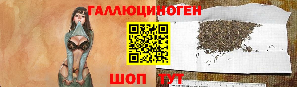 Галлюциногенные грибы мицелий  где купить   Белебей 